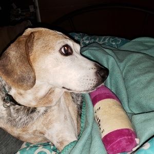 Meet your Posher, Geri